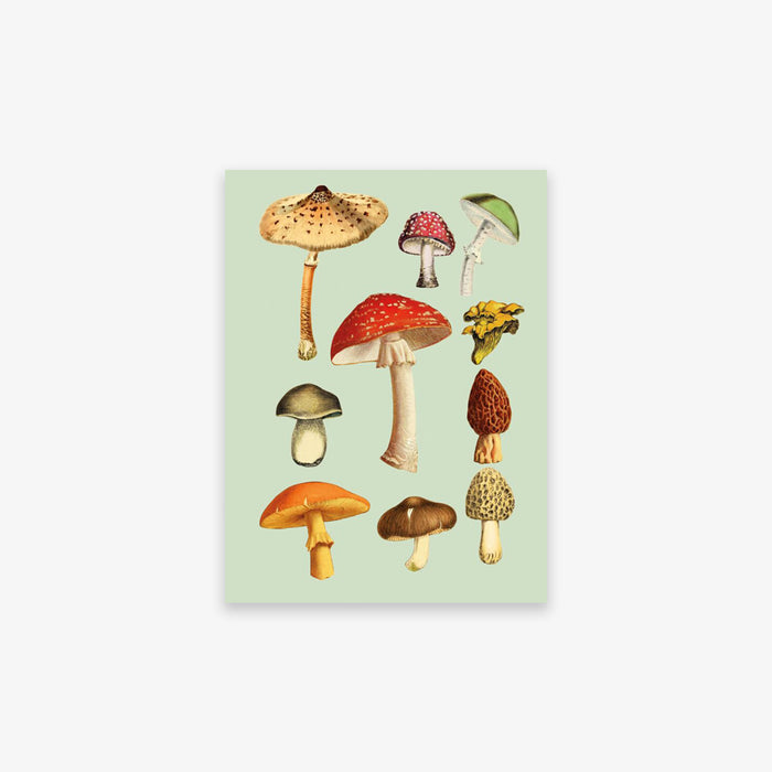 ANTIQUARIAN STICKER BOOK // THE ANTIQUARIAN