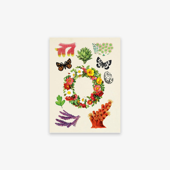 ANTIQUARIAN STICKER BOOK // THE ANTIQUARIAN