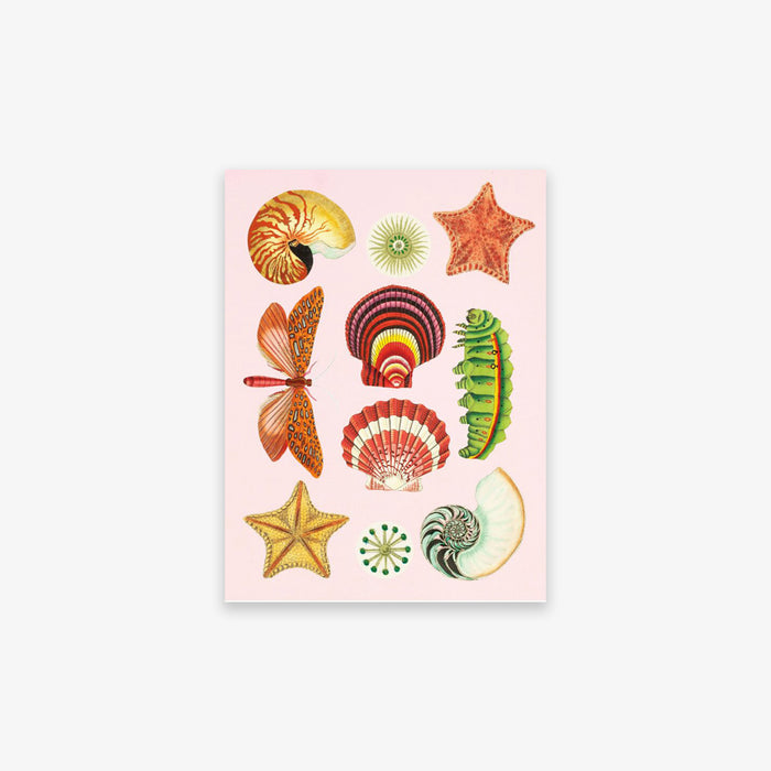 ANTIQUARIAN STICKER BOOK // THE ANTIQUARIAN