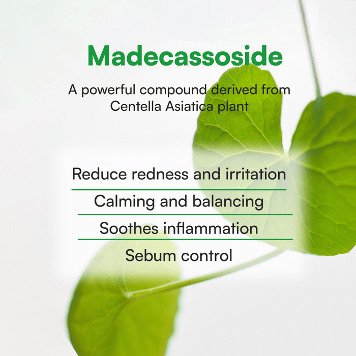 Calming Tea Tree Madecassoside Serum - NaturelleShop.com - Face Republic