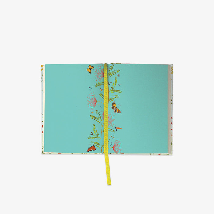 ILLUSTRATED JOURNAL // HUMMINGBIRD
