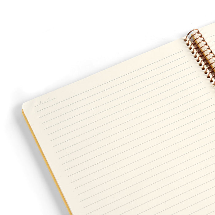 Open notebook with lined pages on a white background