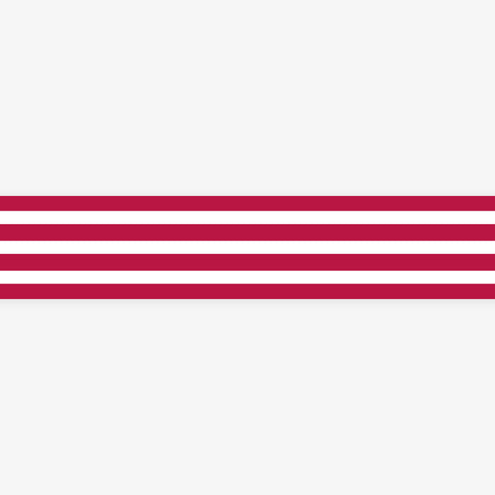 MT MASKING TAPE // BORDER FRAMBOISE