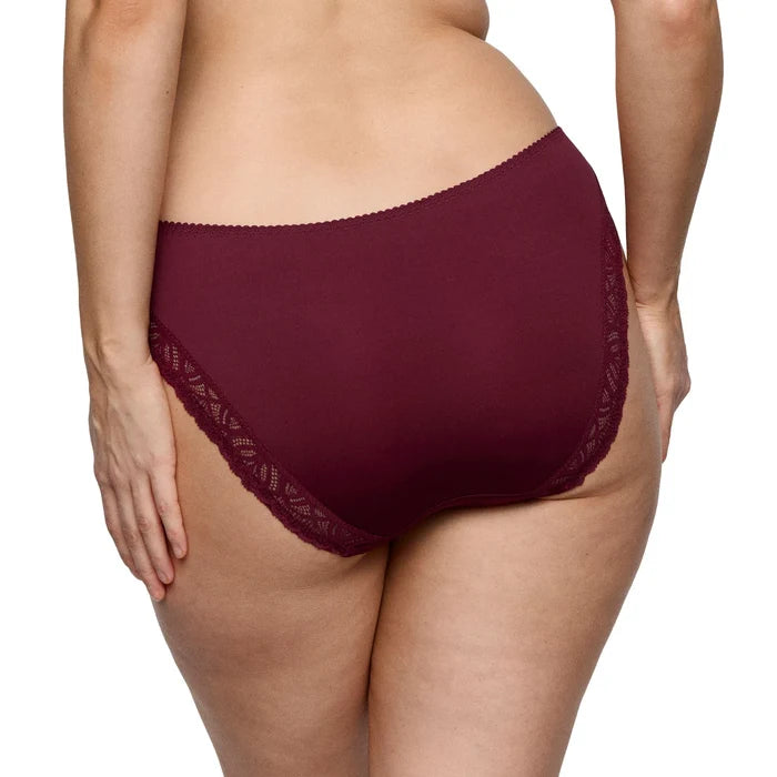 PrimaDonna Salerno Evening Red Rio Briefs Back