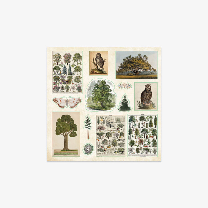 Collection of vintage-style illustrations of trees and animals on a white background