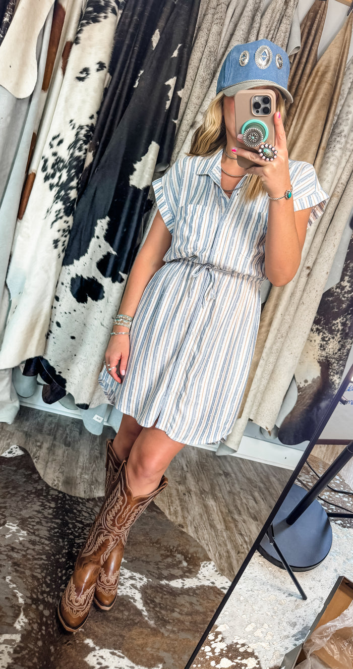 Taupe Trails Swiss Dot Dress